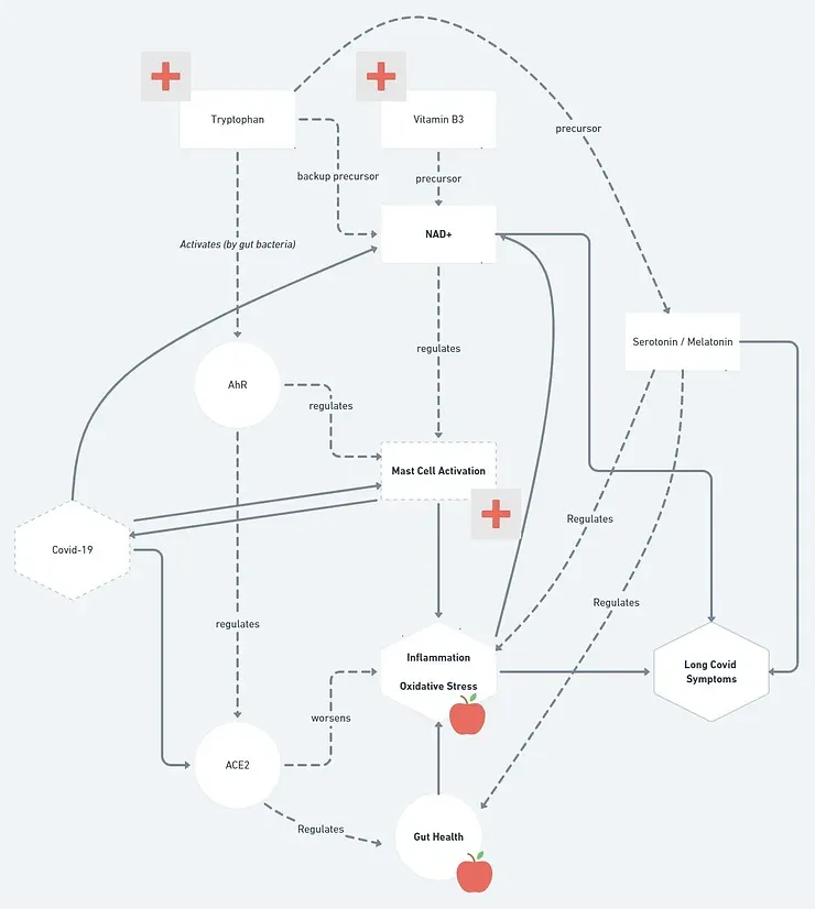 long covid tryptophan, niacin, and mast cell activation